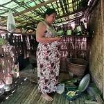 Home 3 Shwe ma oo